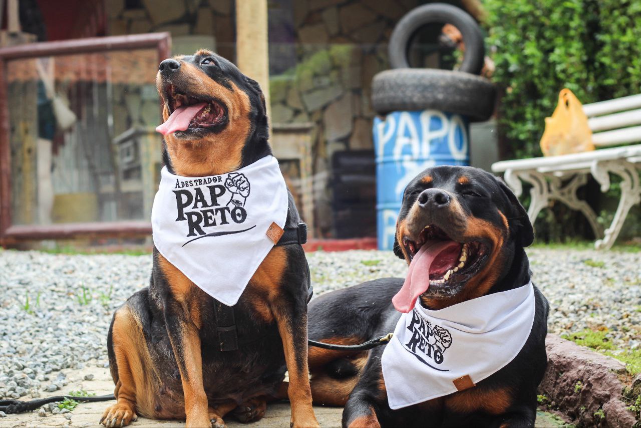 Hotel para Cães