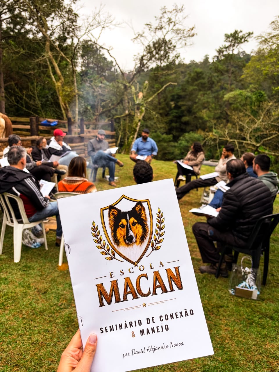Cursos e seminários
