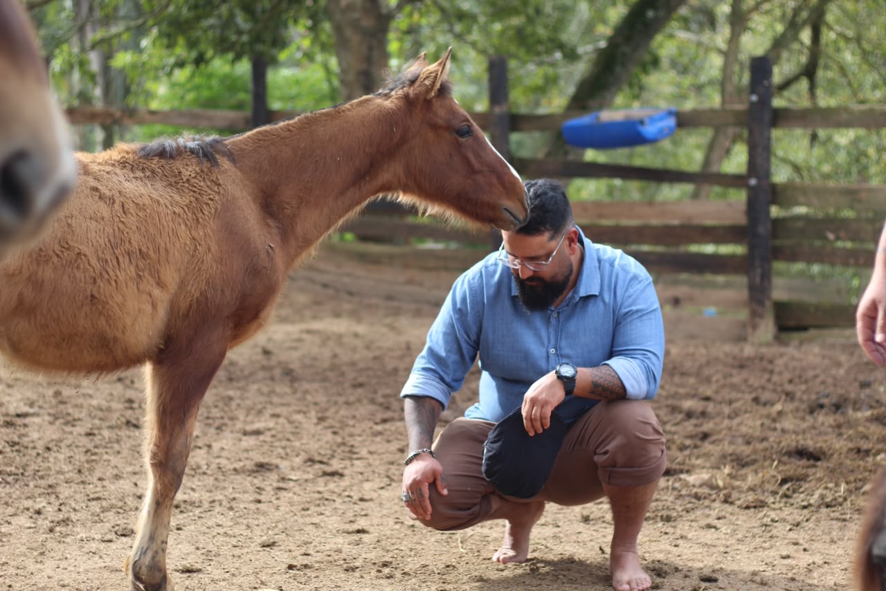 O cavalo como espelho