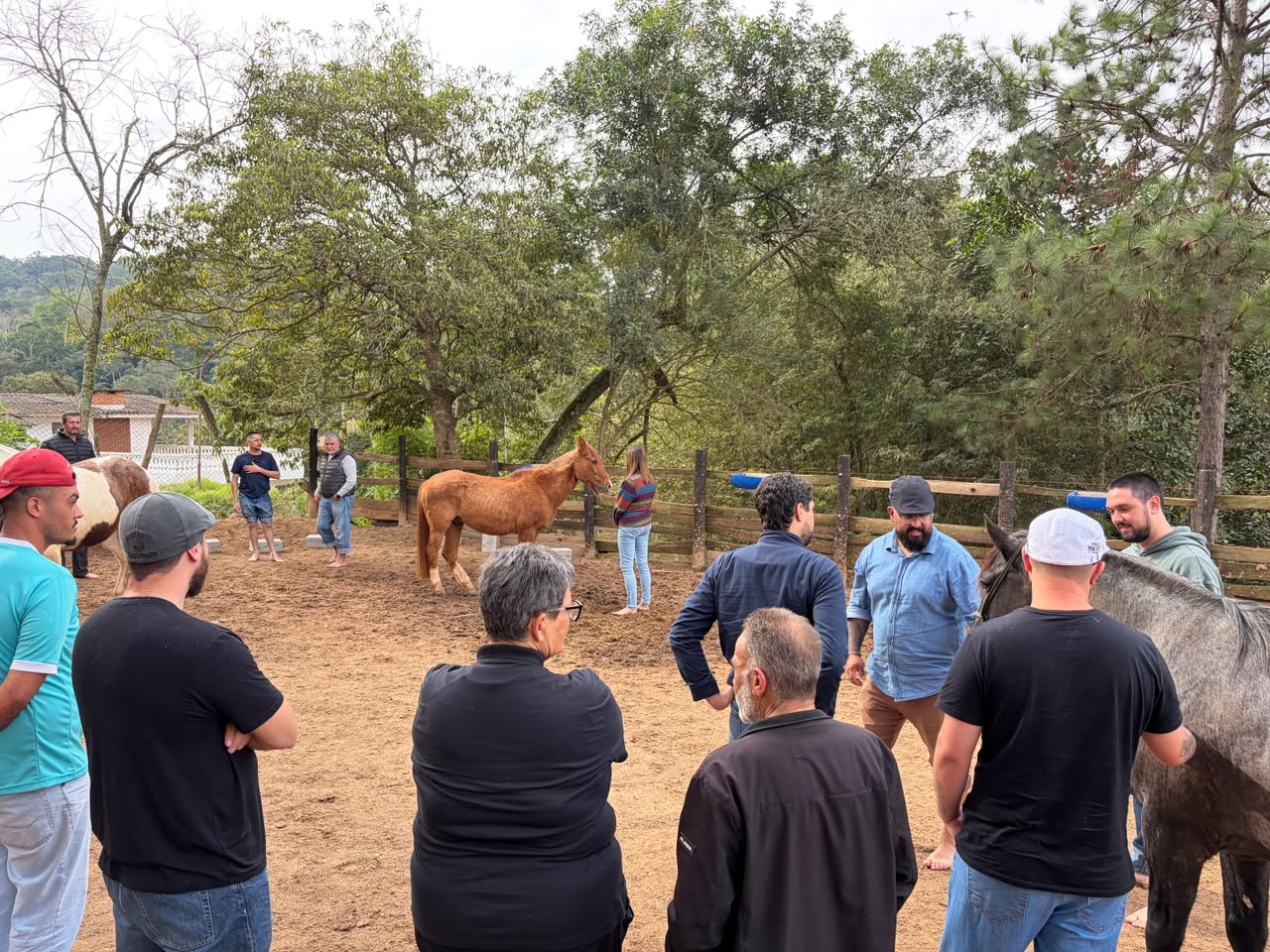 Grupo em atividade de manejo com cavalos no Galpão Crioulo
