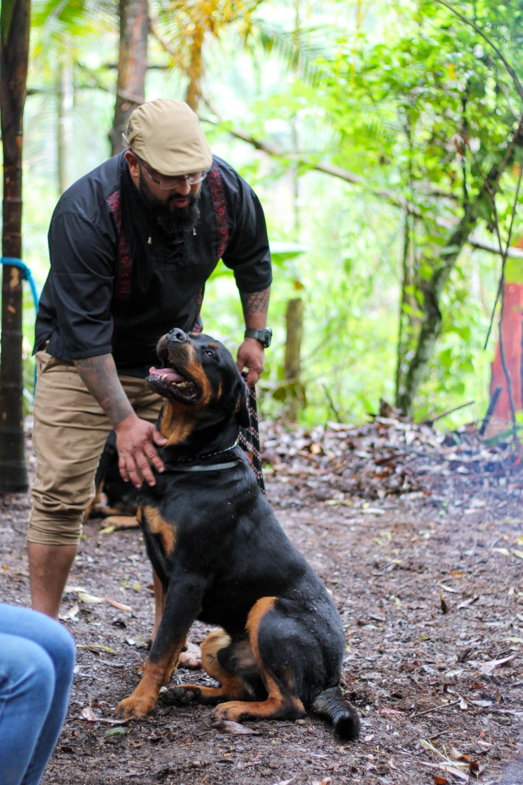 Segurança com cães