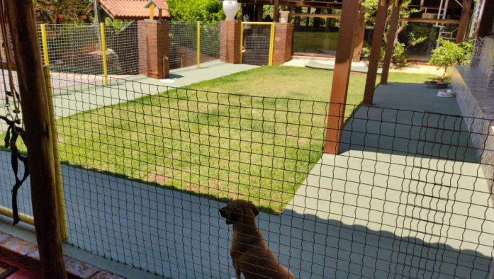 Campo de treino cercado e seguro para cães em Cotia