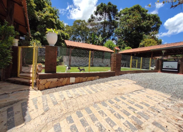 Entrada do Instituto Cão de Ouro com gramado cercado para cães