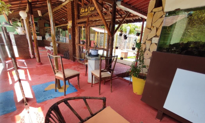 Varanda interna do Instituto Cão de Ouro, área de convivência do hotel para cães
