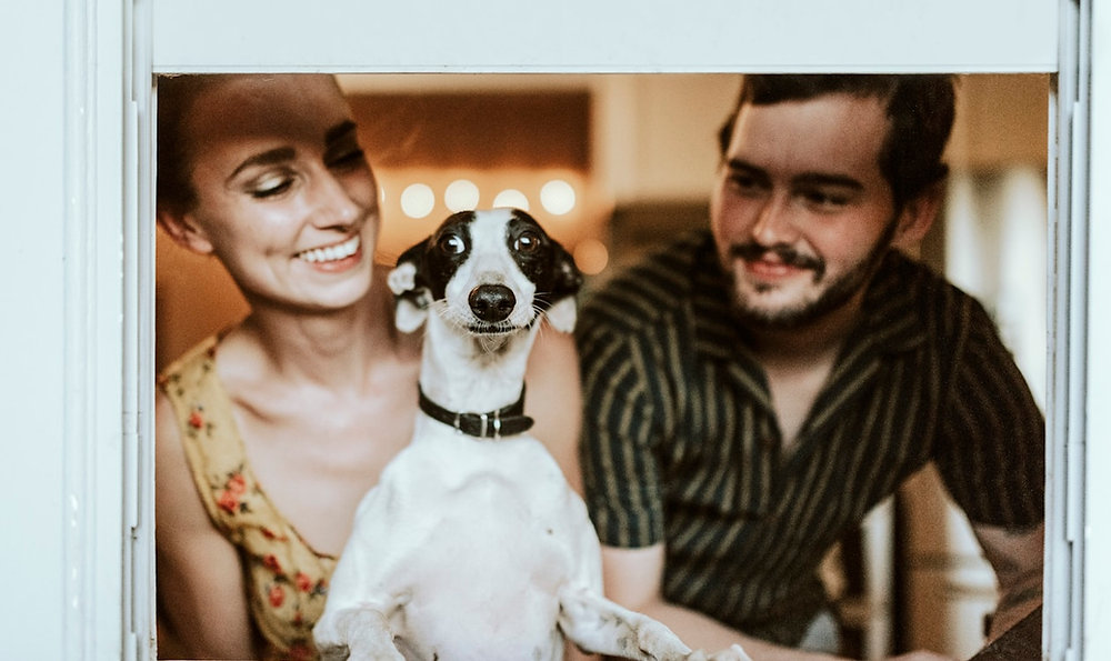 Cão reativo: o que considerar quando o gatilho aparece
